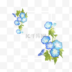 蓝色婚礼花卉图片_水彩蓝色牵牛花卉边框