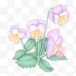 春季植物花卉图片_春天紫色花朵和小精灵水彩花卉