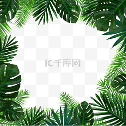 夏季热带棕榈绿色树叶边框