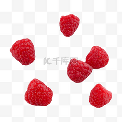 树莓健康植物饮食