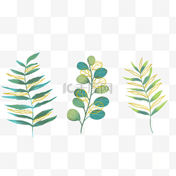 水彩鎏金植物树叶