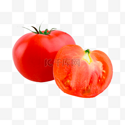 番茄植物美食蔬菜