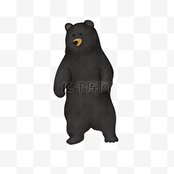 台湾黑熊图片_正面站立的黑熊