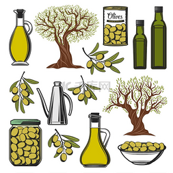 珍珍荔枝饮料图片_绿橄榄和橄榄油图标。 