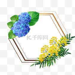 艾叶插画图片_艾菊花卉水彩几何边框