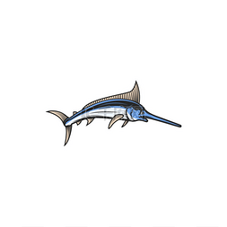 宽嘴鱼剑状吻孤立的箭鱼卡通图标