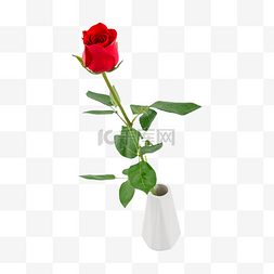 红色玫瑰花瓶图片_红色玫瑰浪漫婚礼