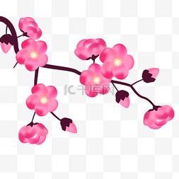 免抠手绘一枝粉色梅花