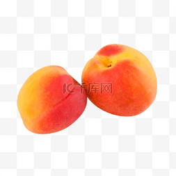 杏子熟了图片_新鲜水果红杏