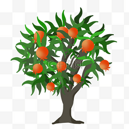 水果西柚线描图片_结满了红色水果的卡通水果树