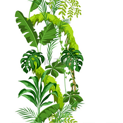 无缝树叶图片_与丛林植物的无缝模式。