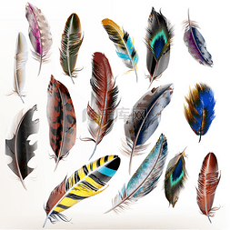 干净的空气图片_组的向量现实五颜六色的羽毛