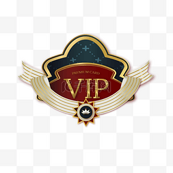 vip立体图标图片_金红VIP微立体图标标识矢量