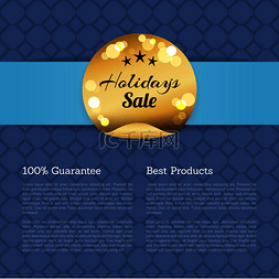 蓝色销售背景图片_100 保证最好的产品假期销售海报