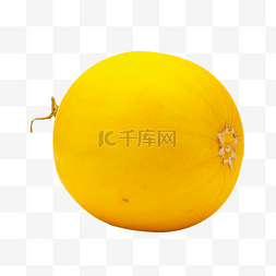黄色甜瓜水果