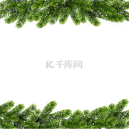 点缀活动图片_圣诞绿松枝矢量插图绿色松枝的圣