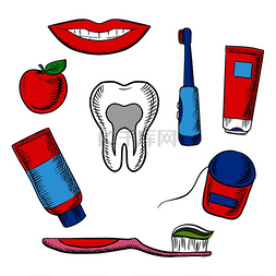 牙齿微笑线设计图片_具有健康牙齿横截面的牙齿卫生医
