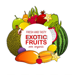 水果荔枝图标图片_热带浆果框架的异国水果标志矢量
