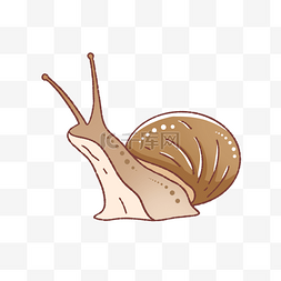 蜗牛壳图片_爬行软体动物蜗牛