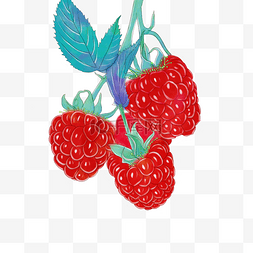 树莓浆果图片_水彩手绘水果之树莓