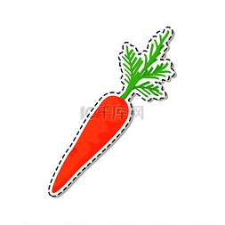 虚线白色图片_成熟的蔬菜贴纸或图标。