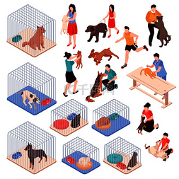 动物收容所里有狗和猫在笼子里，
