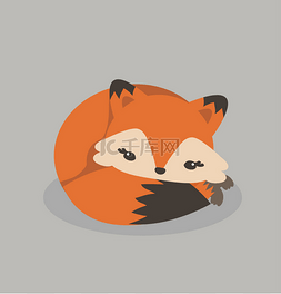 的狐狸图片_可爱的狐狸宝宝睡眠载体