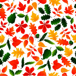 五颜六色的树叶无缝图案背景。