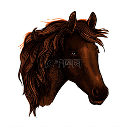 棕色野马图片_棕色优雅的马画像野生野马有着悲