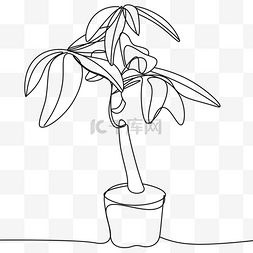 线条画植物图片_抽象线条画植物发财树