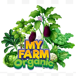 字体设计我的设计图片_用不同种类的蔬菜来说明我的农场