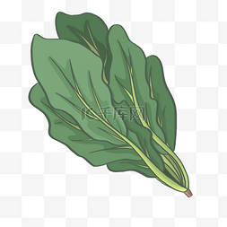 菜叶菠菜图片_绿色植物菠菜剪贴画