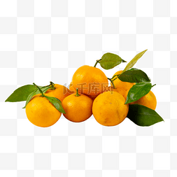 甜甜图片_新鲜水果小叶橘