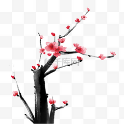 彩绘日本图片_梅花树枝中国风格