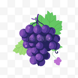 老葡萄藤图片_卡通手绘水果葡萄
