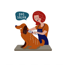 卡通护理头发图片_在美容师沙龙的可爱狗。梳理狗的