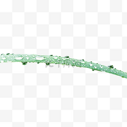 绿叶上的水珠图片_绿叶上的露水