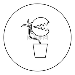 肉食性的图片_食肉植物捕蝇草怪物在圆形圆形轮