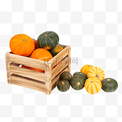 秋季上新页面图片_秋季蔬菜各种南瓜