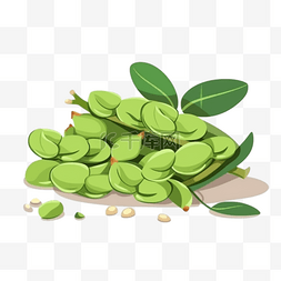 卡通手绘蔬菜蚕豆