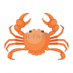 白色螃蟹卡通图片_海鲜白色背景上的螃蟹插图矢量平