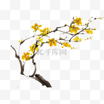 水墨黄色梅花图片-水墨黄色梅花图片素材免费下载-千库网