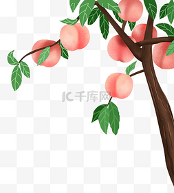 阿狸和桃子图片_树木桃子桃树
