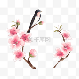 燕子粉色图片_春天盛开的粉色水彩桃花花卉