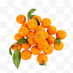 砂糖橘水果