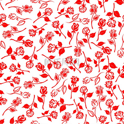 红色开花图片_白色背景上盛开的红色夏季玫瑰精