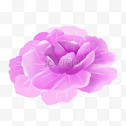 粉紫色鲜花装饰卡通剪贴画