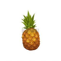 菠萝黄色背景图片_菠萝果实媒介新鲜热带植物多汁的
