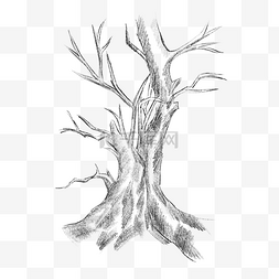 干枝干图片_素描树干大树