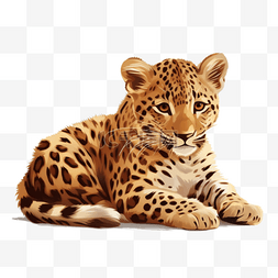 蹲着的豹子图片_扁平插画手绘免抠元素豹子